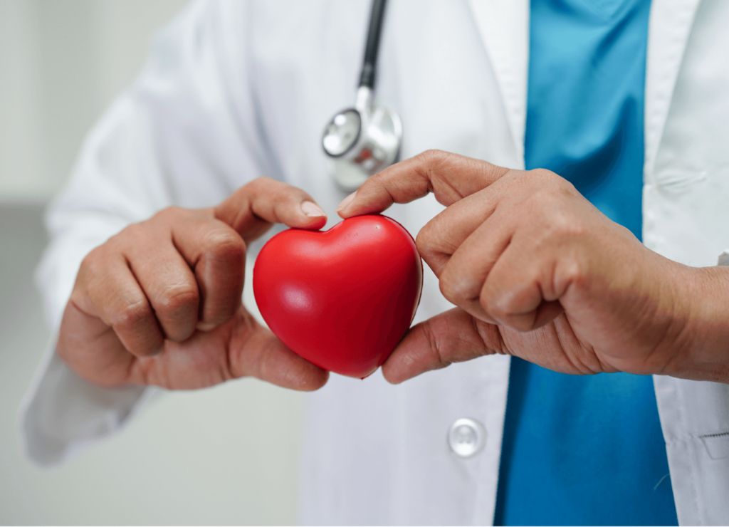 A doctor wearing a stethoscope holding a sponge fake heart toy in their hands